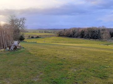Marshes view