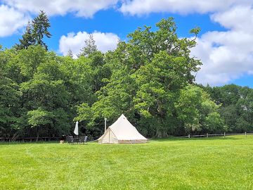 Bell tent view (added by manager 23 aug 2022)