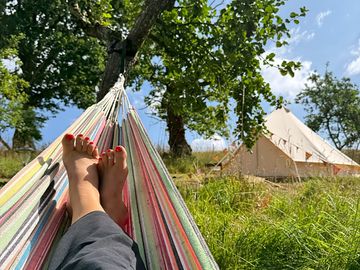 Hammock in the orchard with the tents