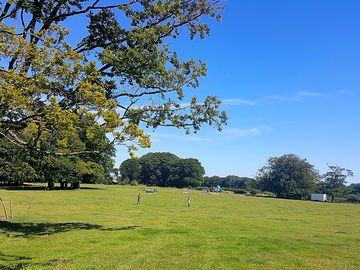 View across field
