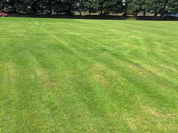 Well-maintained grass