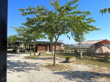 Piazzole