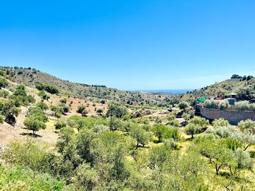Views