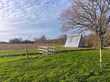 Oak tree camping pod