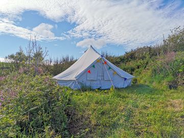 Bell tent in the afternoon sun (added by manager 28 feb 2023)