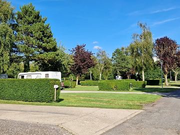 View of the site