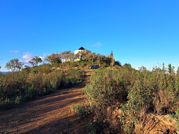 Around the site