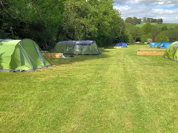 Electric tent pitches