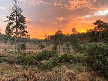 Fantastic purbeck sunsets on the sssi heath behind cloudshill (added by manager 06 may 2021)