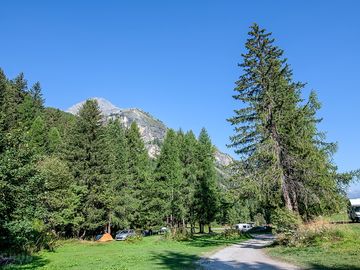 Pitches under the trees