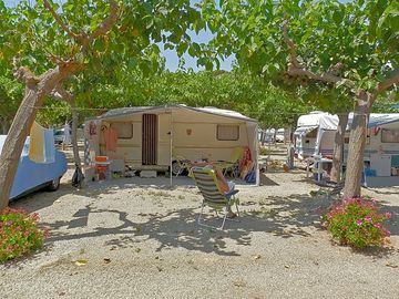 Spacious pitches under the shade of trees
