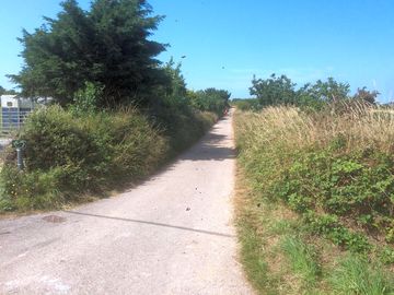 Lane to trevellas cove