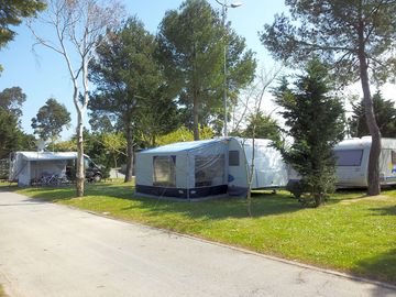 Large pitches under the shade of trees
