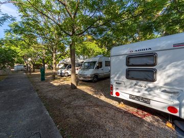 Pitches under the trees