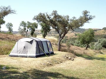 Spacious pitches under cork or oak (added by manager 24 aug 2021)