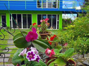 Colourful gardens