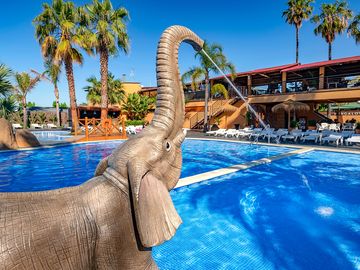 Small pool elephant (added by manager 05 aug 2020)