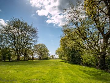 Playing field
