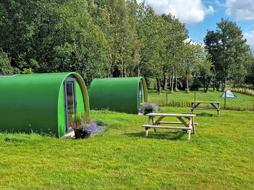 Green pods with standard pitches in the distance (added by manager 22 aug 2022)