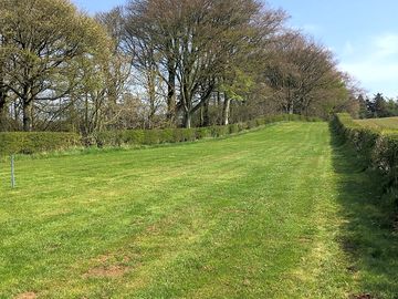A large area that can be used for dog walking or playing