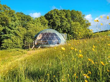 The geodesic dome (added by manager 21 sep 2022)