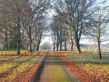 The foxlease park drive