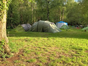 Woodland pitch