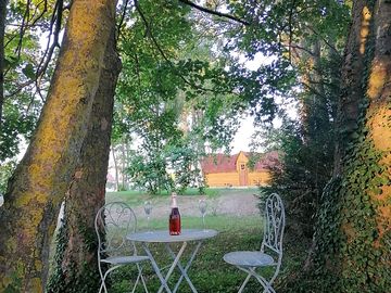 Under the shade of the trees