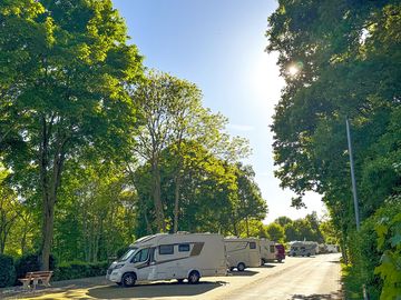 Pitches surrounded by trees