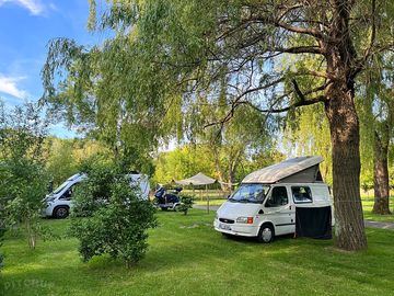 Electric pitches among the trees