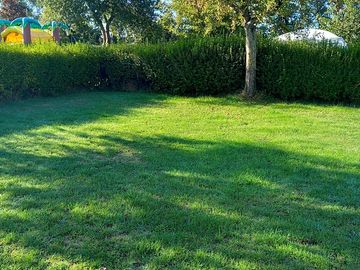 Grass pitches