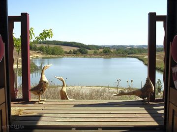 Fish in the lake - and don't forget to release your catch