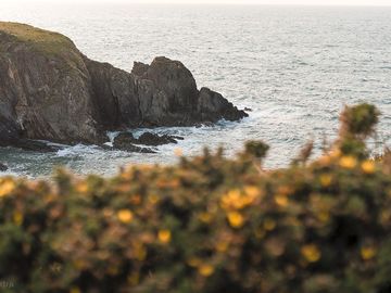 The view from the coastal path
