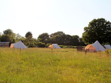 Our bell tents situated in a wildflower meadow. (added by manager 29 jun 2023)