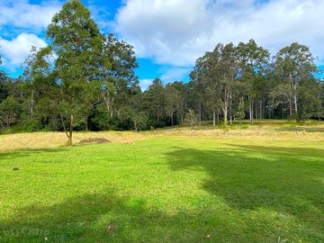 Farmside grove campsite
