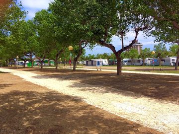 Spacious pitches on site