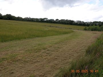 Tent area