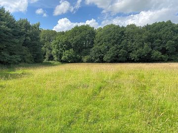Grass pitches