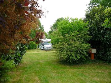 Pitches among the trees