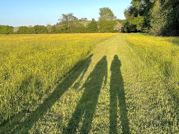 Camping meadow