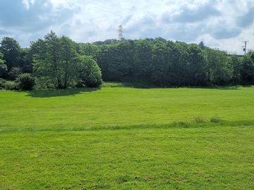 Grass pitch