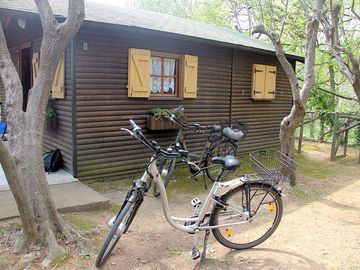 Outside the cabin
