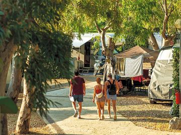 Path through the site