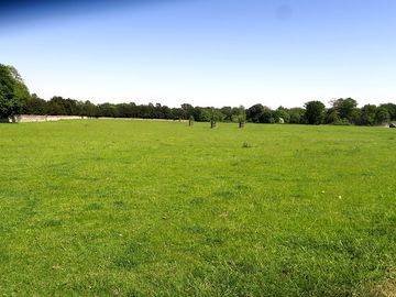 Large level field