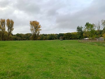 View of the site