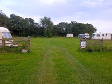 The pitches field