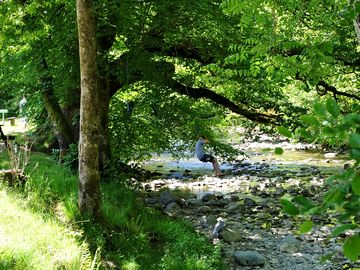 The river wnion