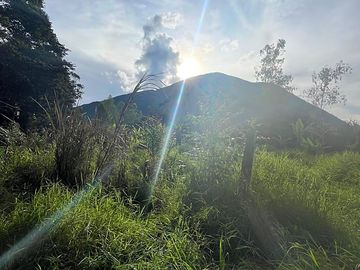 Bosque de conservación 5 minutos de la ciudad de oxapampa. último refugio natural en la ciudad.