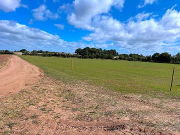 Summer day on site
