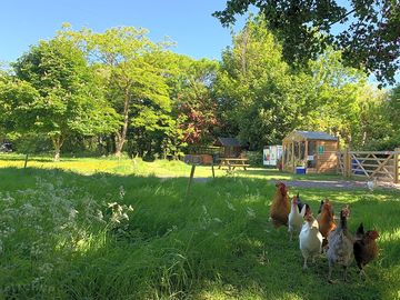 View from the meadow